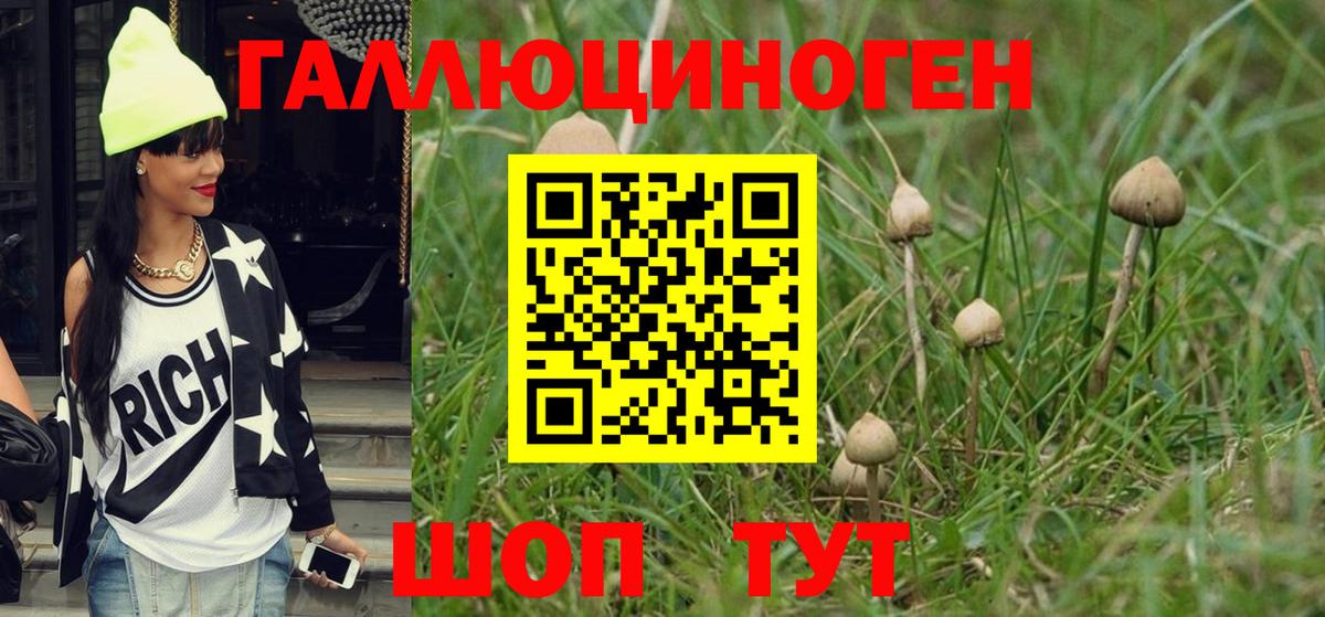 Галлюциногенные грибы Psilocybine cubensis  Вход с VPN  купить   Кстово 